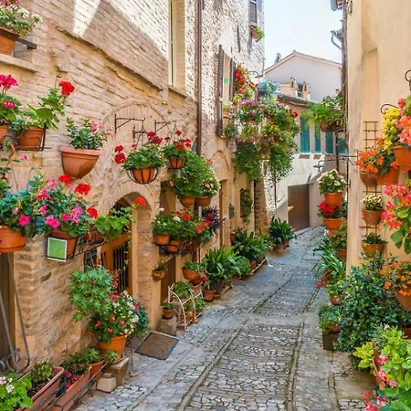 Assisi Francesco * Бастия-Умбра